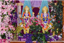holi_nar_narayan_dev_jayanti_013.jpg